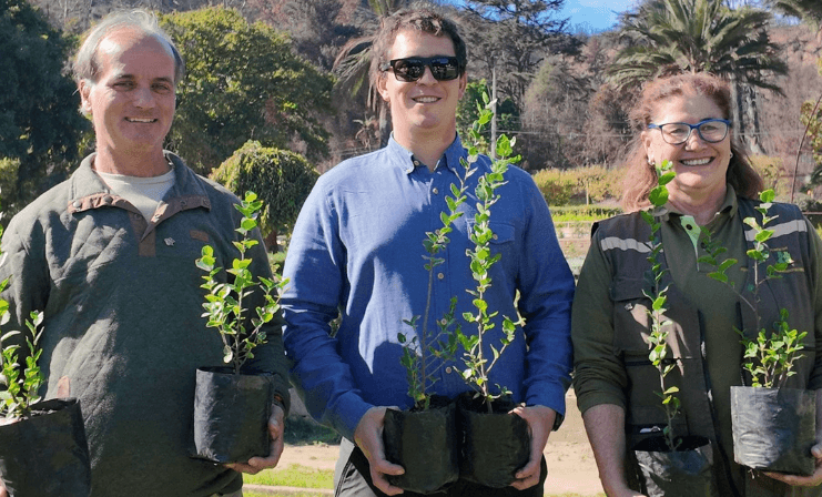 Jardín Botánico en Viña del Mar se reforesta con 3.000 especies