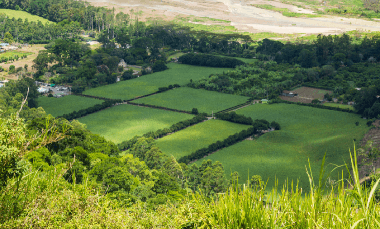 Nueva Ley de Parcelaciones: Impacto en el sector agrícola y habitacional en Chile