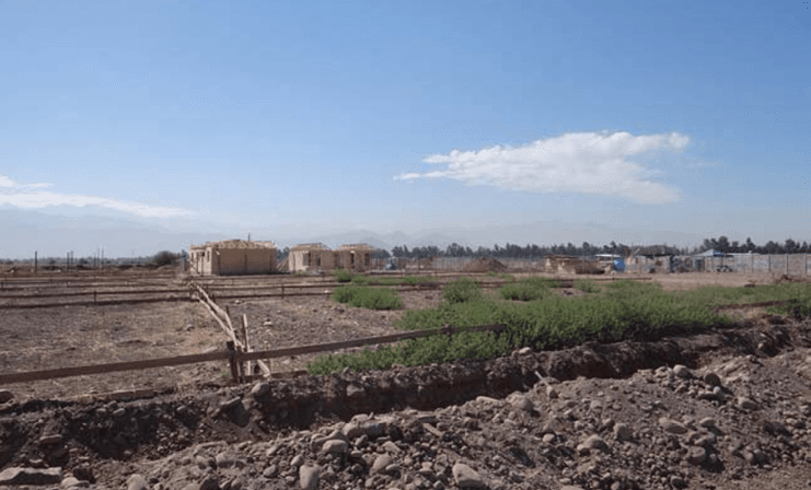 Tribunal ordena reparación del Humedal Puente Negro por daño ambiental de Inve