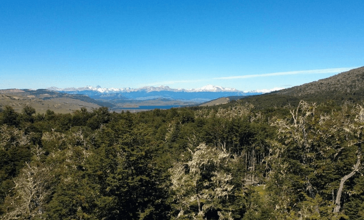 La transformación que ha vivido el mercado inmobiliario en el sur de Chile