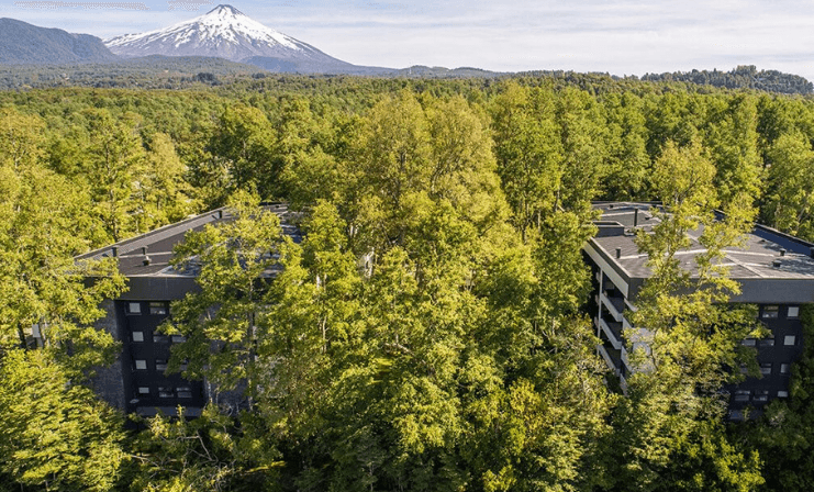 Iniciativas verdes en el mercado inmobiliario: Empresa ha plantado casi 10 mil árboles para compensar impacto ambiental