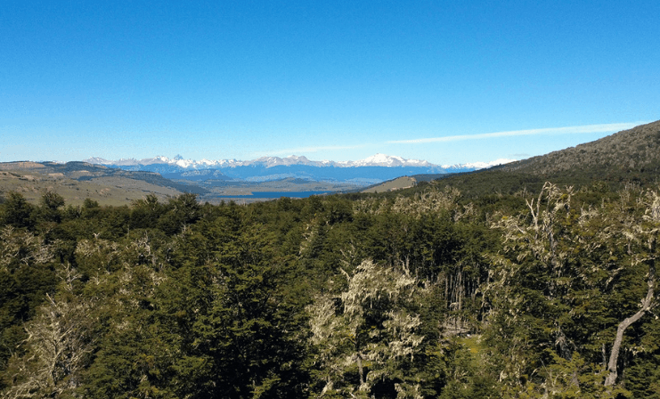 Factores que inciden en el aumento de plusvalía de parcelas en el sur de Chile