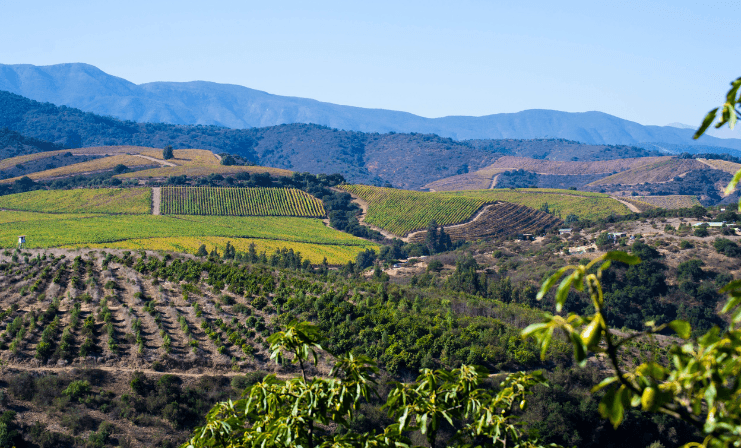 Este es el proyecto agroinmobiliario que une inversión y recuperación del suelo agrícola