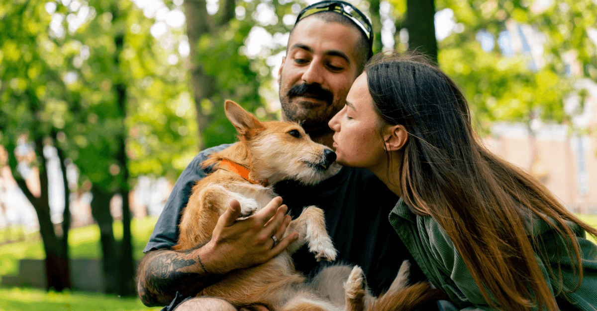 Edificios “pet friendly”: la respuesta del mercado inmobiliario al aumento de mascotas en el hogar