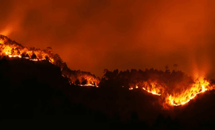 Catastro Colliers: “Daños por incendios recientes en la zona centro sur del país se estiman en USD 300.000.000”